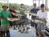 (08/28/2018) - Nice Striped Bass